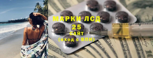 шишки Горняк