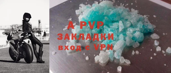 шишки Горняк