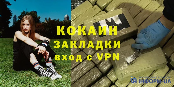 шишки Горняк