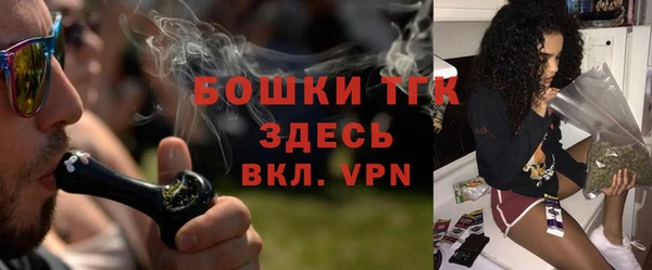 шишки Горняк