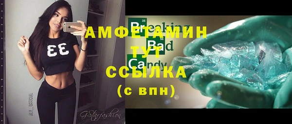 шишки Горняк