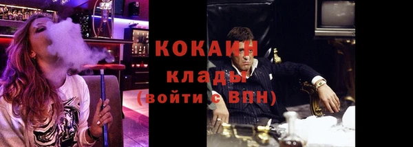 шишки Горняк