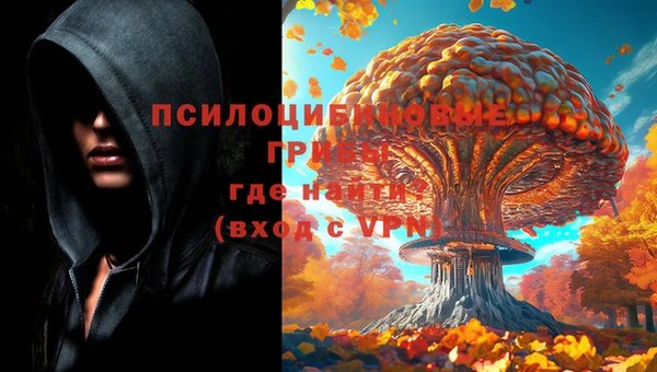 герыч Вязники