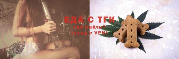 шишки Горняк