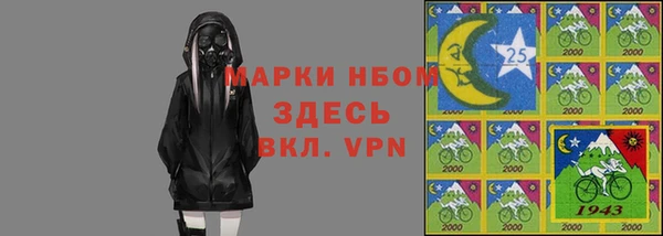 шишки Горняк