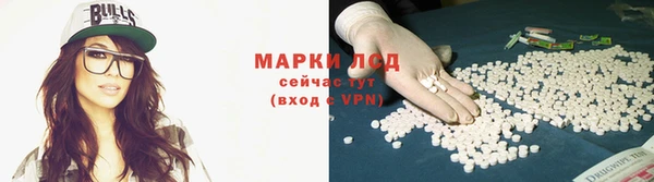 шишки Горняк