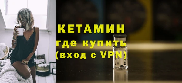 шишки Горняк