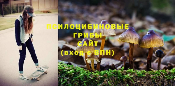 марихуана Горно-Алтайск