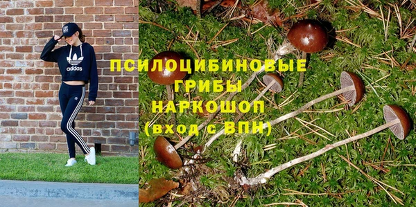 тгк Горнозаводск