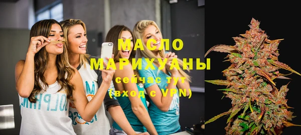 шишки Горняк