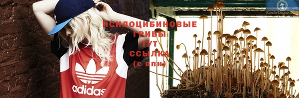 шишки Горняк