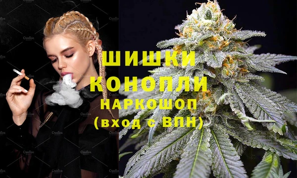 тгк Горнозаводск