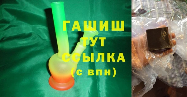 шишки Горняк