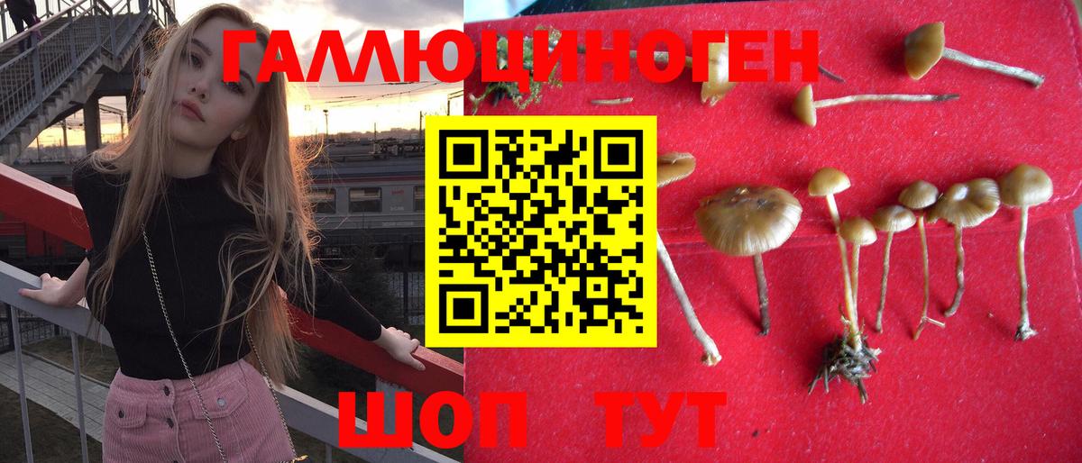 Метамфетамин Минеральные Воды