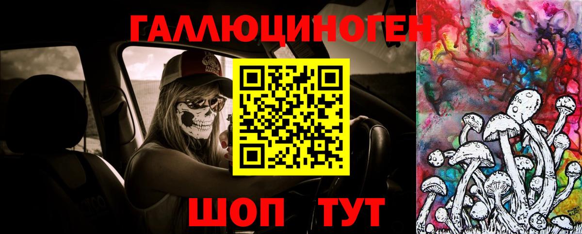 купить   Минеральные Воды  Псилоцибиновые грибы Psilocybe 