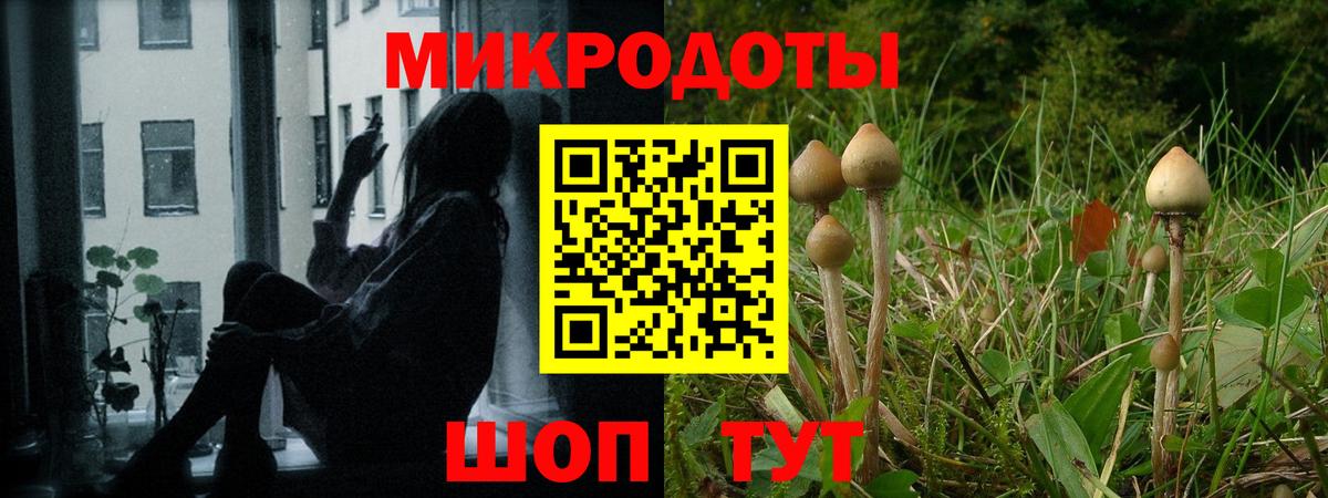 Минеральные Воды  Псилоцибиновые грибы прущие грибы  Вход с VPN 